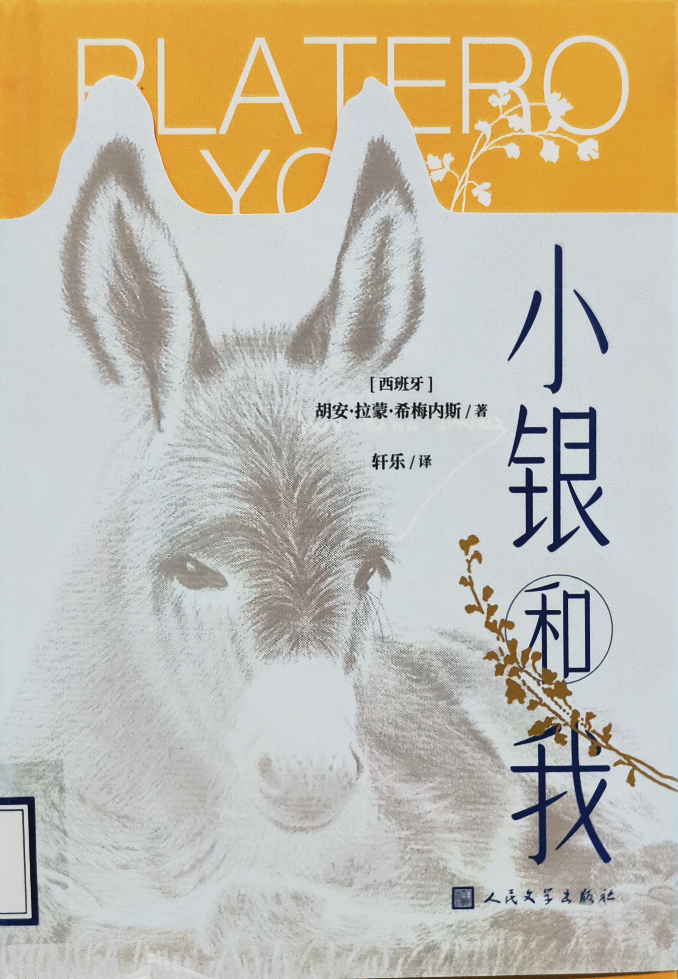 小银和我